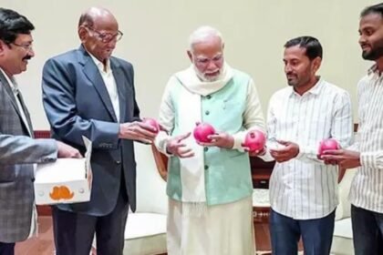 Sharad Pawar holds first meet with PM Modi since MVA loss, gifts him pomegranates from Maharashtra | India News