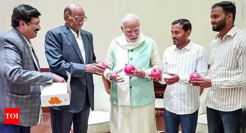 Sharad Pawar holds first meet with PM Modi since MVA loss, gifts him pomegranates from Maharashtra | India News