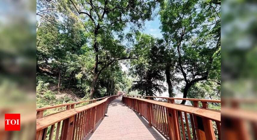 Thane Residents Urge Changes to Draft Development Plan Amidst Concerns | Mumbai News