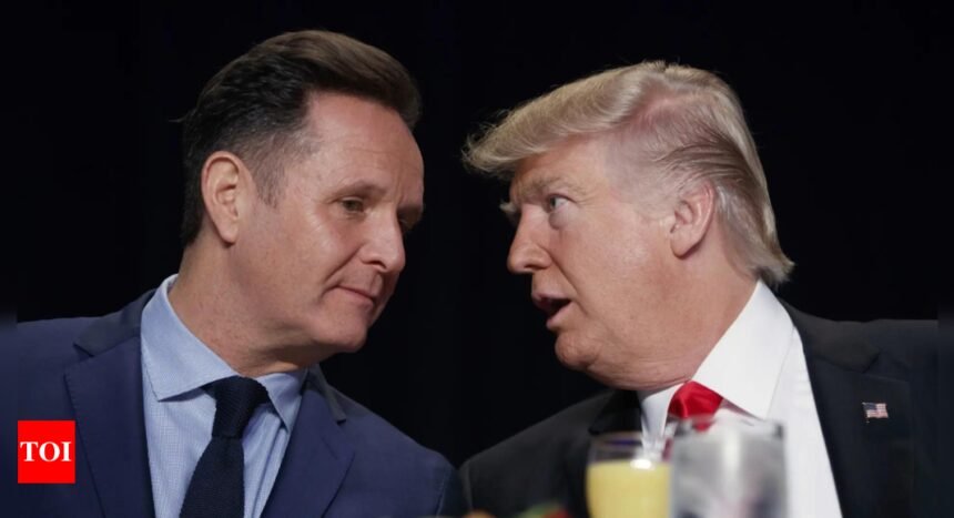 Trump names 'The Apprentice' producer Mark Burnett as special envoy to UK | World News