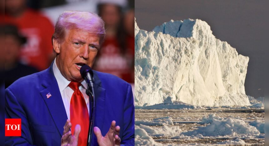Trump’s call for US control of Greenland prompts Denmark to boost defence