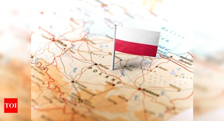 US H-1B overhaul sparks global shift: Poland revamps 2025 work visa policies for Indian job seekers