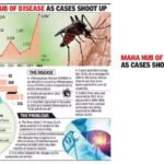 When chikungunya found a permanent place in Mumbai...