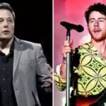 Why are fans enraged over Nick Jonas's response to Elon Musk's tweet ?