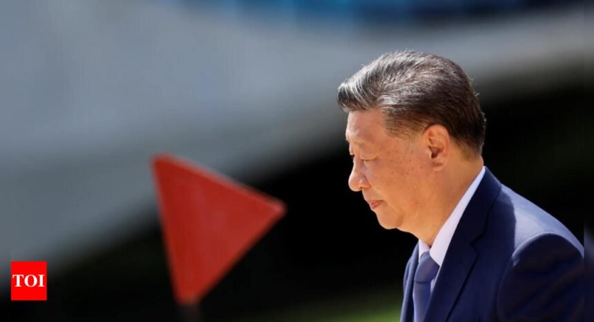 Xi Jinping’s anti-corruption drive targets record number of ‘tigers’ this year