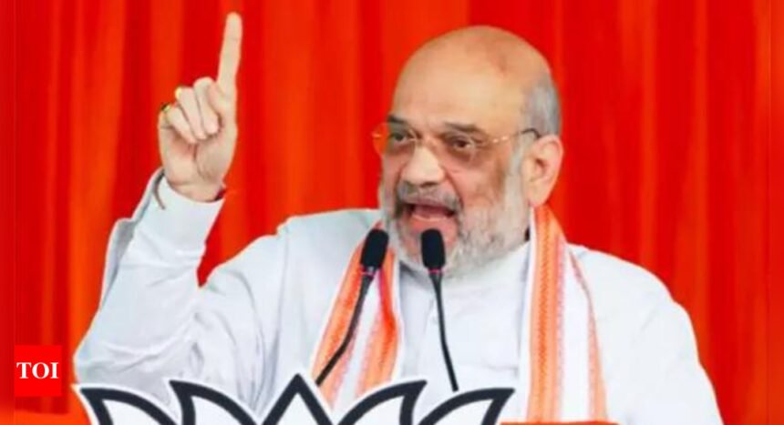 ‘Duty towards nation’: Amit Shah urges banks to frame special rules for NE | India News