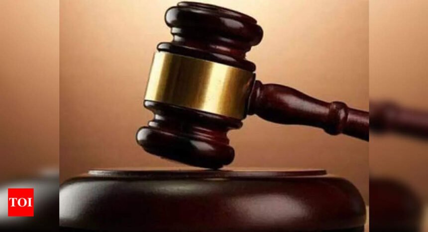 ‘Silent sufferers in custody row, kids need own lawyers’ | Mumbai News