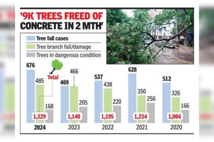 1.3K trees damaged in Thane last year, highest incidents in 5 years | Mumbai News