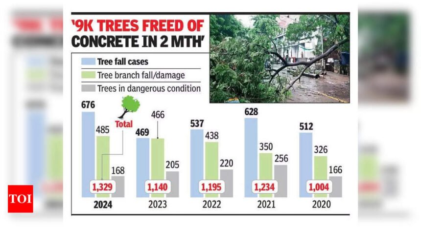 1.3K trees damaged in Thane last year, highest incidents in 5 years | Mumbai News