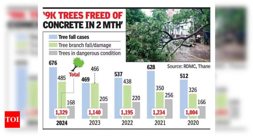 1.3K trees damaged in Thane last year, highest incidents in 5 years | Mumbai News