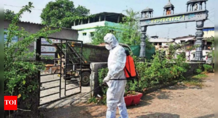 1k birds culled in avianflu outbreak at Maharashtra village | Mumbai News