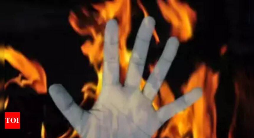 2 men attempt self-immolation in Maharashtra | Mumbai News