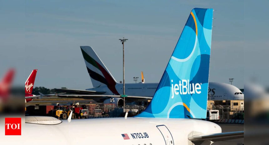 2 unidentified bodies found in the landing gear of JetBlue plane at Florida airport