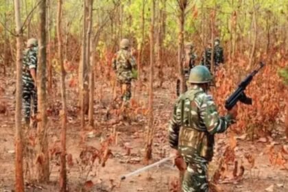 3 Maoists killed in encounter in Chhattisgarh's Bijapur, weapons and explosives recovered | India News