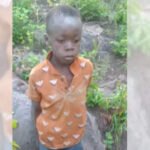 8-Year-Old Boy Found Alive: 'True miracle': 8-year-old survives 5 days in Zimbabwe park filled with dangerous animals