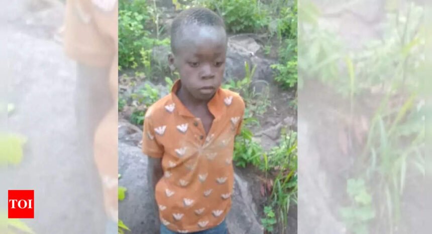 8-Year-Old Boy Found Alive: 'True miracle': 8-year-old survives 5 days in Zimbabwe park filled with dangerous animals