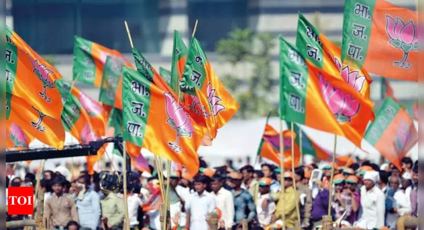 Attendees at BJP convention must enrol 250 members each | Mumbai News
