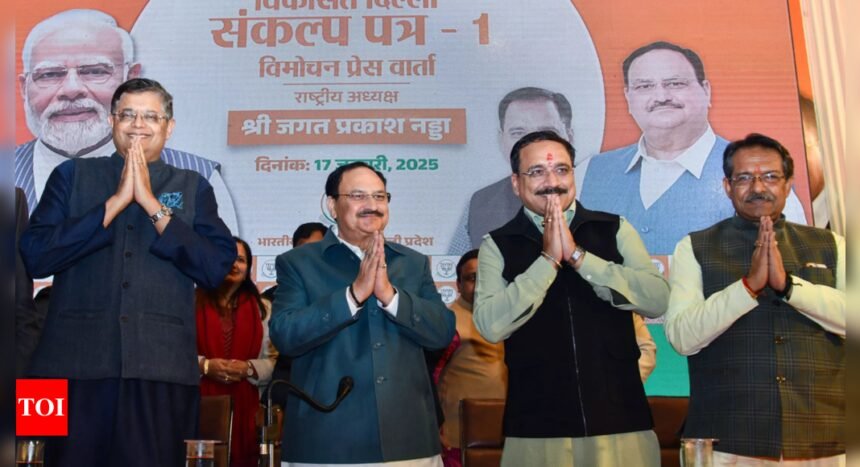 BJP pledges Rs 2.5k every month for Delhi women, equal amount as pension | India News