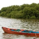 Body found in Mumbai’s Gorai jetty | Mumbai News