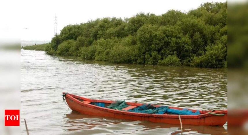 Body found in Mumbai’s Gorai jetty | Mumbai News