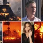 California wildfires leave 5 dead, $52 billion in ruins: Celebrities homeless, politicians slammed, and chaos reigns | World News