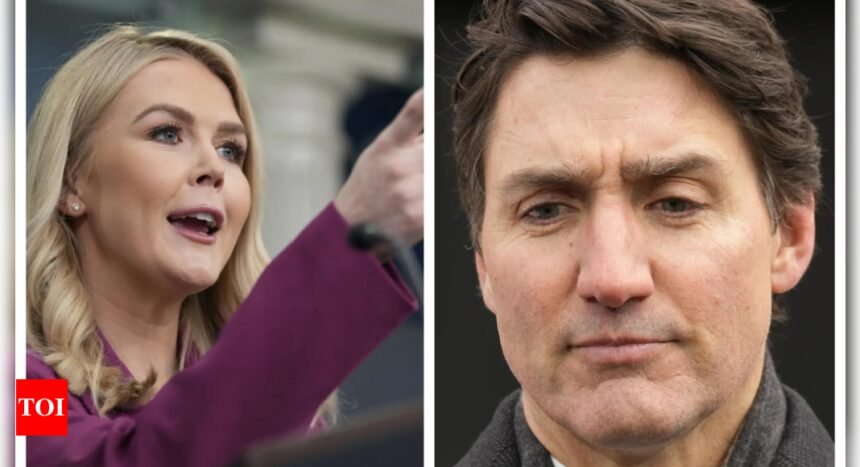Canada Mexico Tariff: Donald Trump's Canada, Mexico tariffs from February 1: Karoline Leavitt slams Trudeau's 'outlandish' remark
