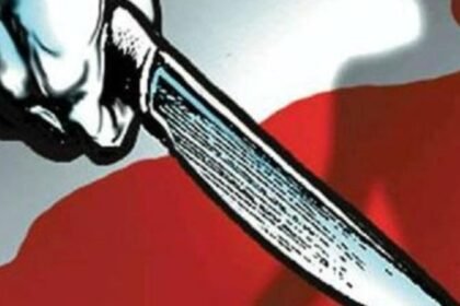 Colleague hacks woman with cleaver in office parking lot as people watch | India News