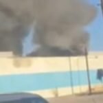 Dallas Shopping Center Fire: Hundreds of animals killed in Dallas shopping center fire