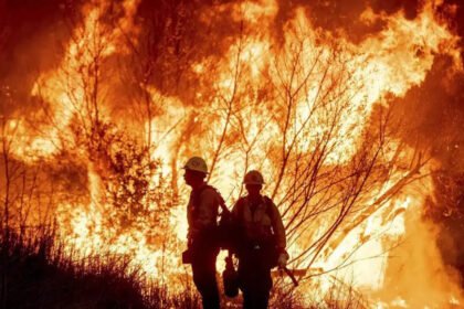 'Devastation is absolute': Indian American resident on Palisades wildfires