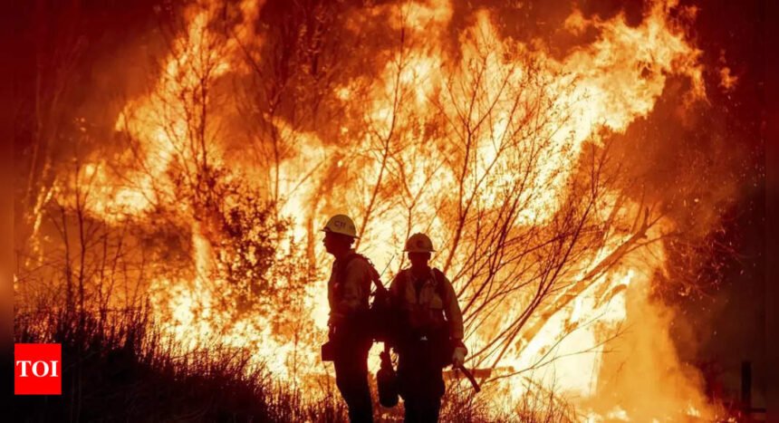 'Devastation is absolute': Indian American resident on Palisades wildfires