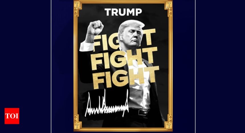 Donald Trump's cryptocurrency coin sparks concerns amid market frenzy