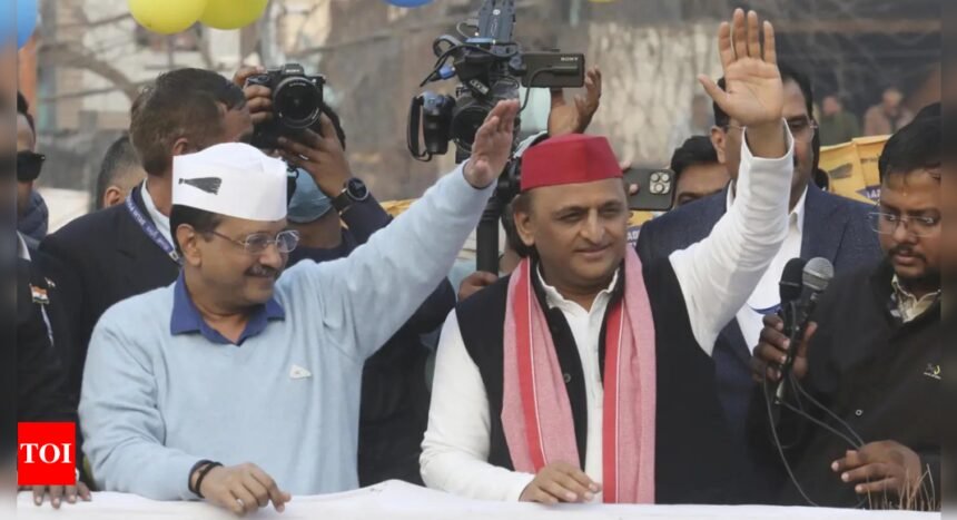 'Don't waste a single vote': In Akhilesh Yadav's call to elect AAP in Delhi, a subtle message for Congress | India News