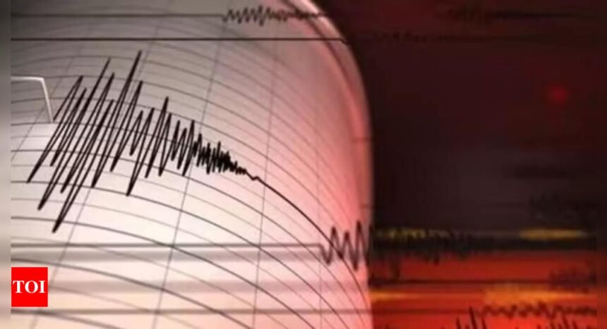 Earthquake of magnitude 4.8 strikes Myanmar