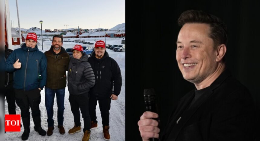 Elon Musk Greenland USA: Elon Musk on US acquiring Greenland as Donald Trump Jr arrives on the island: 'If the people of...'