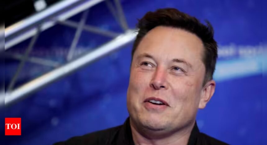 Elon Musk: Hitler was a communist? Elon Musk sparks outrage in bizarre chat with AfD leader