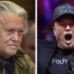 Elon Musk: Steve Bannon says he will have 'Elon Musk run out of here by Jan 20': 'I will take this guy down'