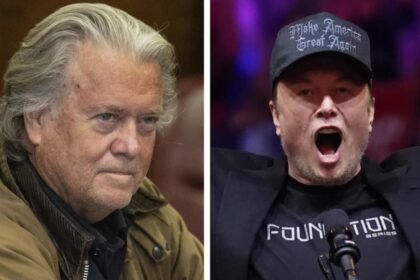 Elon Musk: Steve Bannon says he will have 'Elon Musk run out of here by Jan 20': 'I will take this guy down'