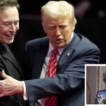 Elon Musk Susie Wiles: Is Elon Musk's access to Donald Trump being limited by 'ice maiden' Susie Wiles? Here's the truth