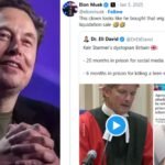 Elon Musk mocks UK judge in bizarre rant, 'Is that merkin on his head?'; sparks outrage