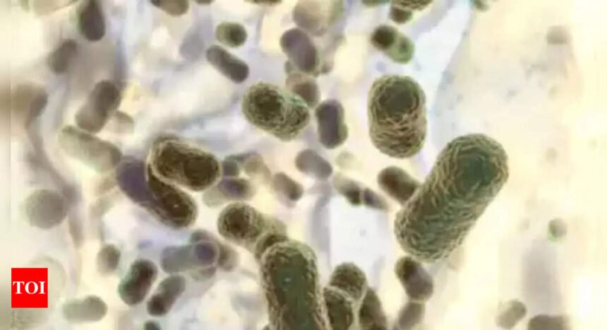 Exploring the link between newborn gut bacteria and food allergies: Insights from a Japanese study | Mumbai News