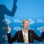 Fact check: AfD head called Hitler 'communist.' He was not