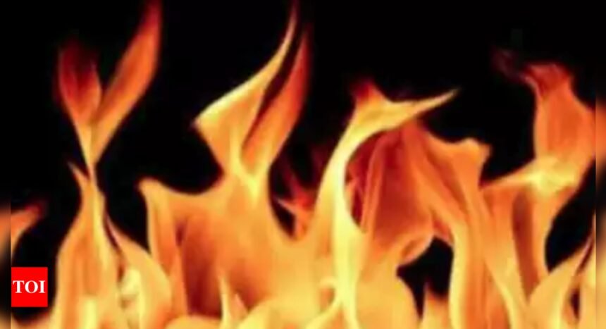 Fire breaks out in Goregaon's Khadakpada furniture market | Mumbai News