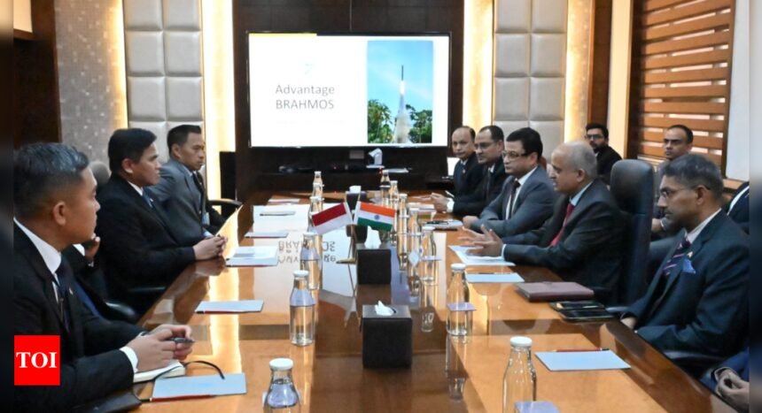 India briefs Indonesia on BrahMos supersonic cruise missiles ahead of proposed deal | India News