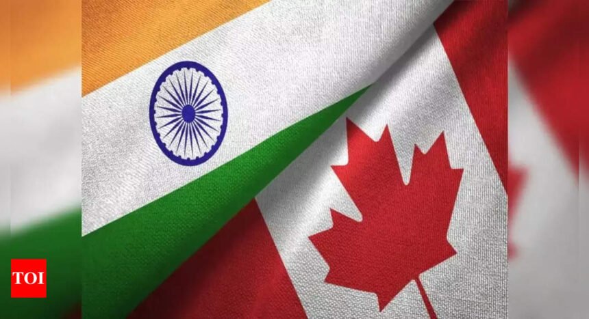 India rejects Canada's report on election interference, accuses Trudeau government of 'consistently interfering' in internal affairs