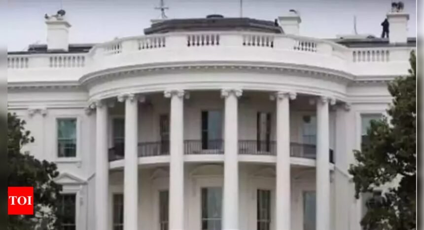 'Intent was to replace govt': Indian national gets 8 yrs of jail for White House attack plot