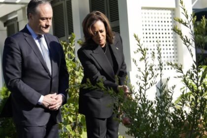 Kamala Harris News: Kamala Harris undecided about new job, husband Doug Emhoff will take on clients again