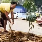 Kamothe Couple Leads Green Revolution: Digging Water Basins to Save Local Trees | Mumbai News