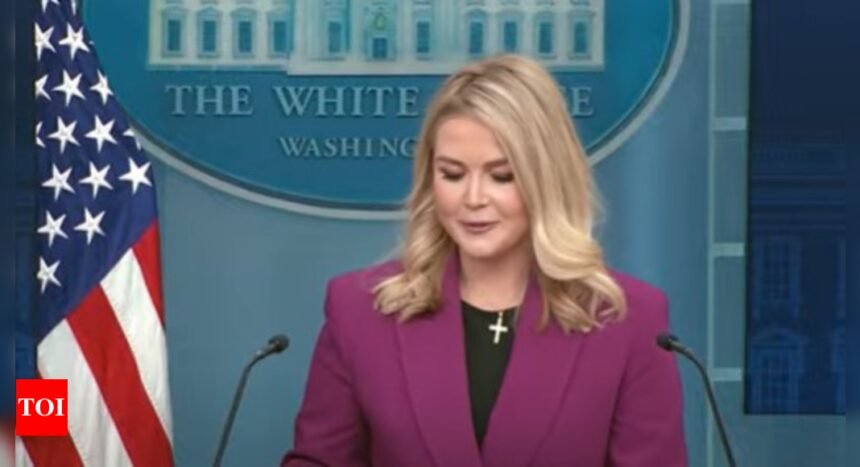 Karoline Leavitt Live: Karoline Leavitt debuts as White House press secretary, says New Jersey drones were authorized by FAA