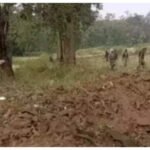 Kin of Naxal blast victim thought dreaded call was wrong number | India News