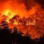 LA wildfires: Music mega stars to perform at FireAid to raise funds for relief efforts